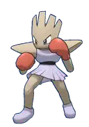 Hitmonchan