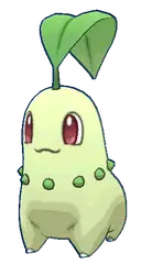 Chikorita