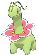Meganium