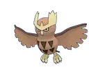 Noctowl