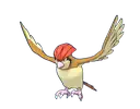 Pidgeotto