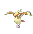 Pidgeot