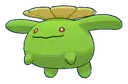 Skiploom