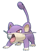 Rattata