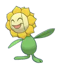 Sunflora
