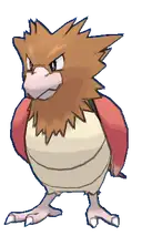 Spearow