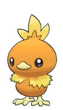 Torchic