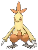 Combusken