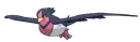 Swellow