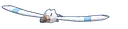 Wingull