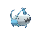 Barboach