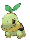 Turtwig