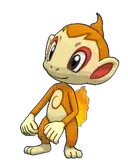 Chimchar