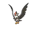 Staraptor