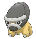 Shieldon