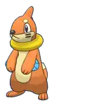 Buizel