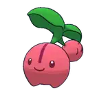 Cherubi