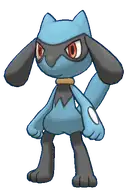 Riolu