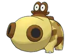 Hippopotas