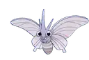 Venomoth