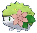 Shaymin