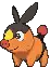 Tepig