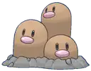 Dugtrio