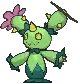 Maractus