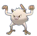 Mankey