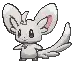 Minccino