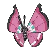 Vivillon