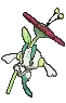 Floette