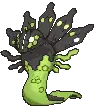 Zygarde