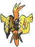 Tapu Koko
