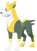 Boltund