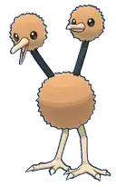 Doduo