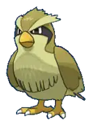Pidgey