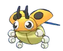 Ledyba