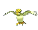 Pidgeotto