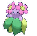 Bellossom