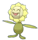 Sunflora