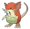 Raticate