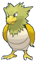 Spearow