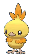 Torchic