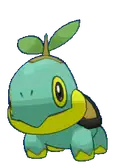 Turtwig