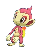Chimchar