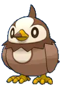 Starly