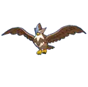 Staraptor