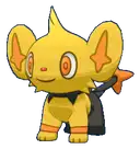 Shinx
