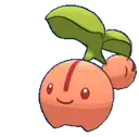 Cherubi